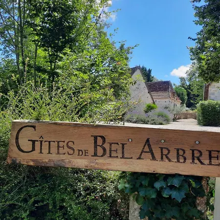 De L'ane Papillon-3 Chb- Piscine-jardin