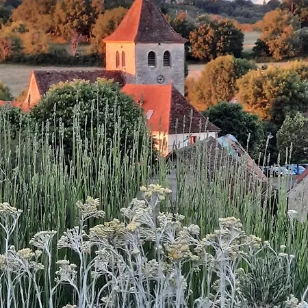 De L'ane Papillon-3 Chb- Piscine-jardin Tatil Evi *