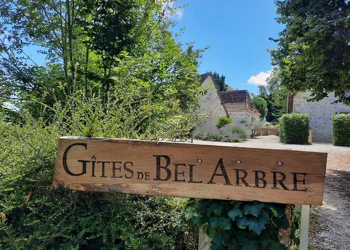 De L'ane Papillon-3 Chb- Piscine-jardin